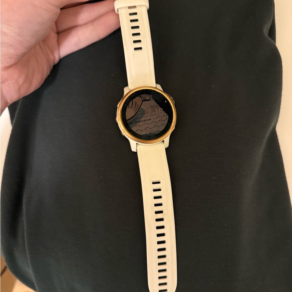Garmin fénix 6s pro in great condition